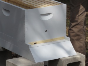 hive with already hanging frames. Notice the small holes where the bees go in and out.