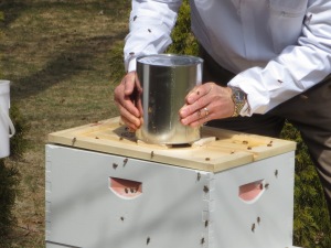 Can of sugar water being placed on lid